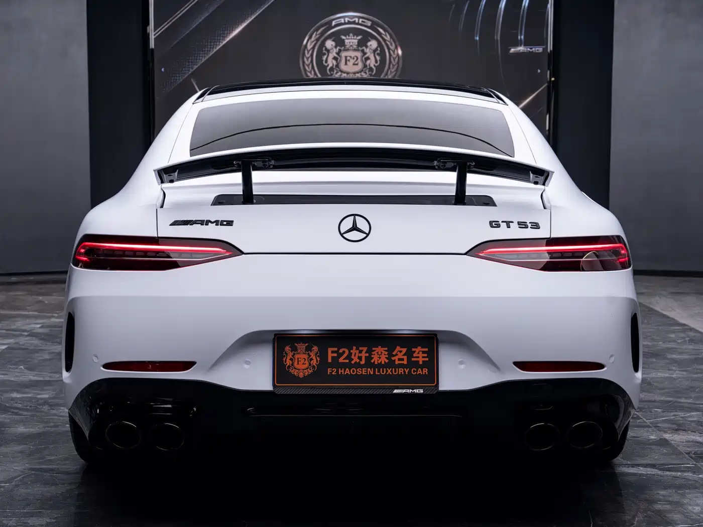 Mercedes-Benz AMG GT 2022 AMG GT 50 4MATIC+ 4-Door Coupe China Edition фото 15