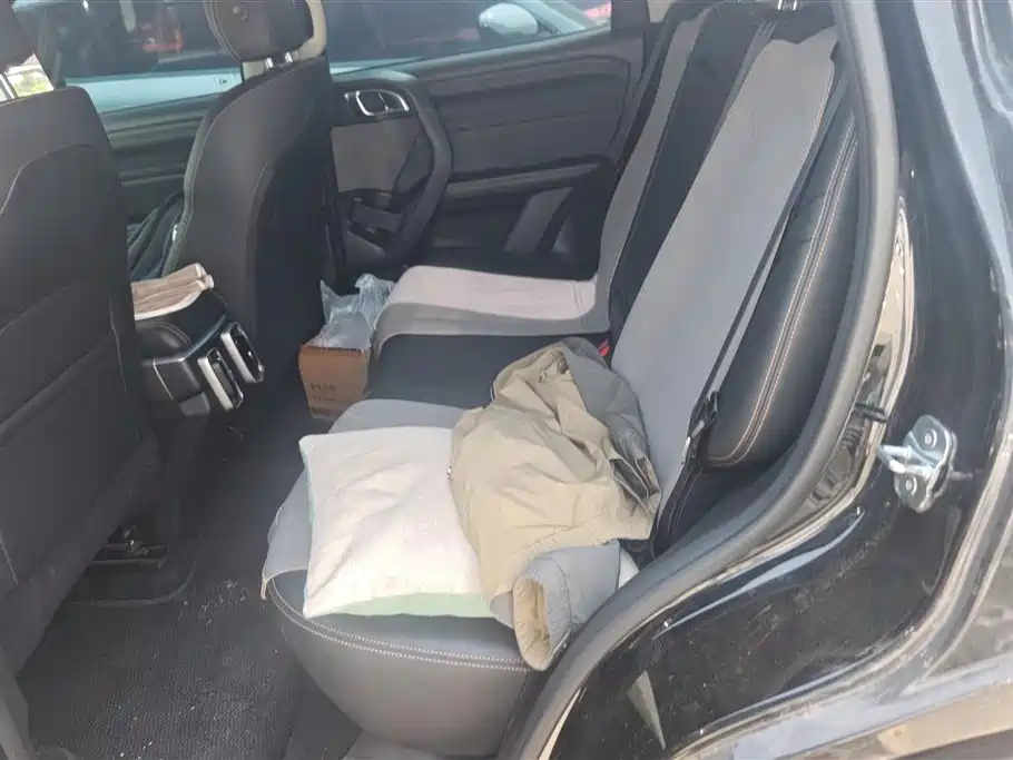 Haval Big Dog 2024 1.5T DCT Border Collie Edition фото 11
