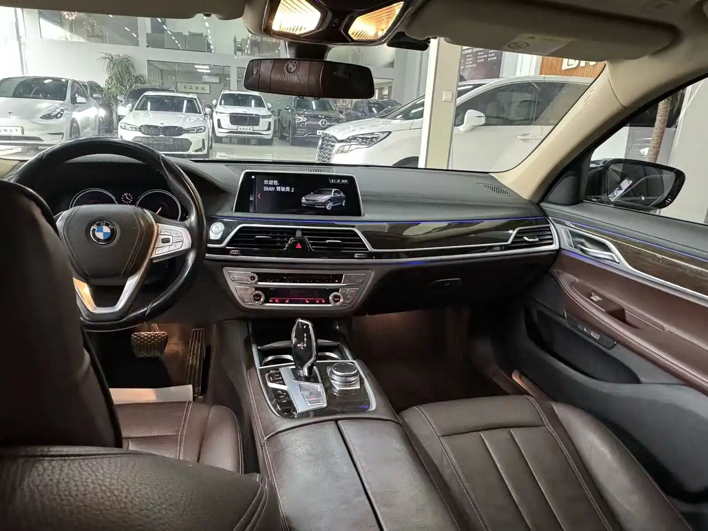BMW 7 Series 2018 730Li Leading Type Excellence Package фото 11