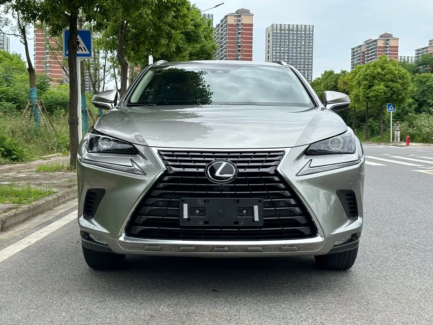Lexus NX 2020 200 AWD F Sport China VI фото 2