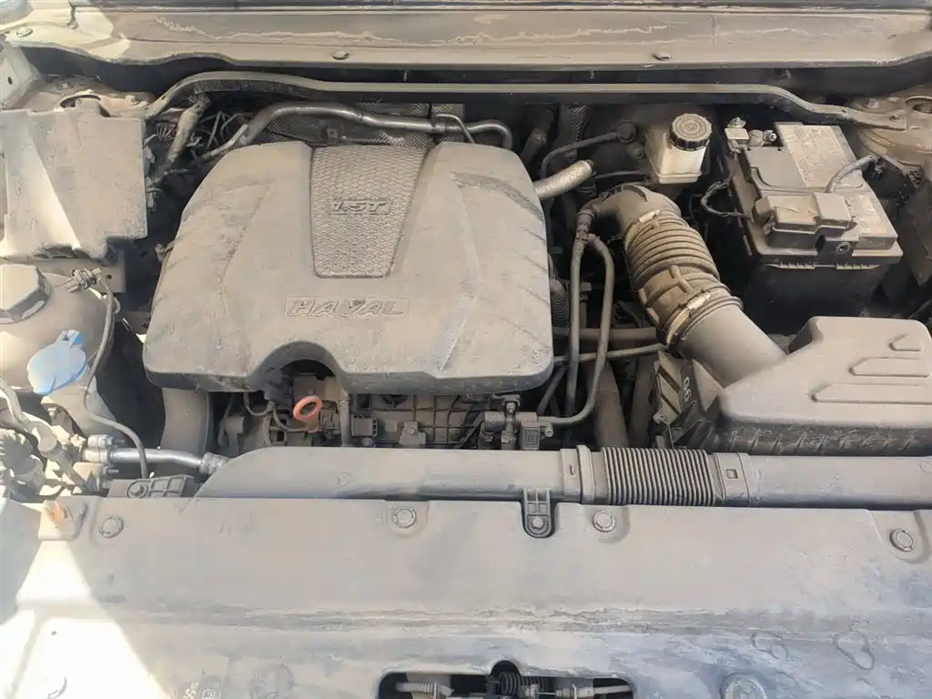 Haval First Love 2021 1.5T Automatic Premium Edition фото 11