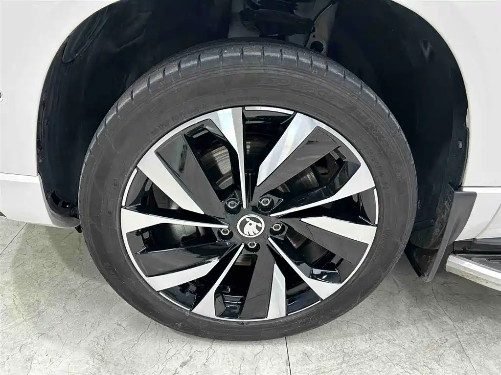 Škoda Karoq 2022 TSI280 Smart Brilliance Edition фото 20