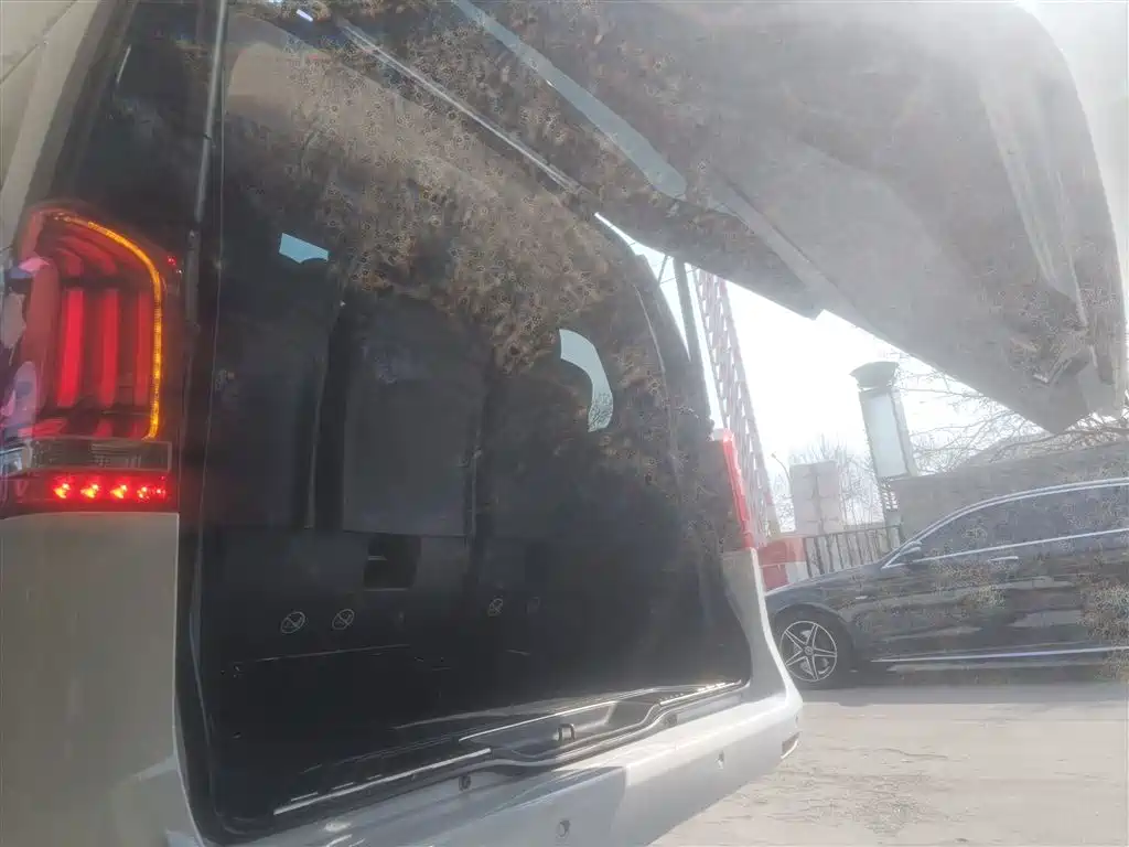 Mercedes-Benz V-Class 2018 V 260 Pilot Edition China V фото 19