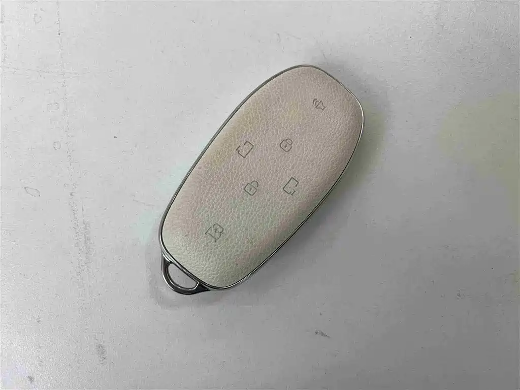 Buick Zhijing Shijia 2026 Model PHEV Base Version фото 20