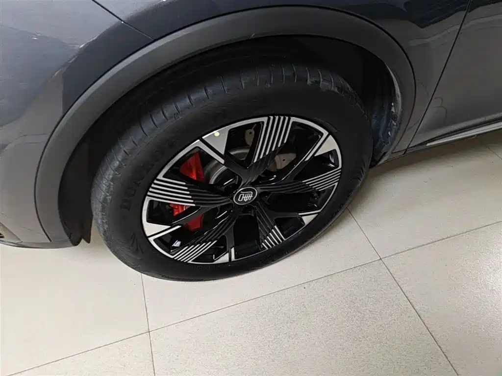 BYD Tang New Energy 2024 DM-i Champion Edition 200KM Premium фото 23