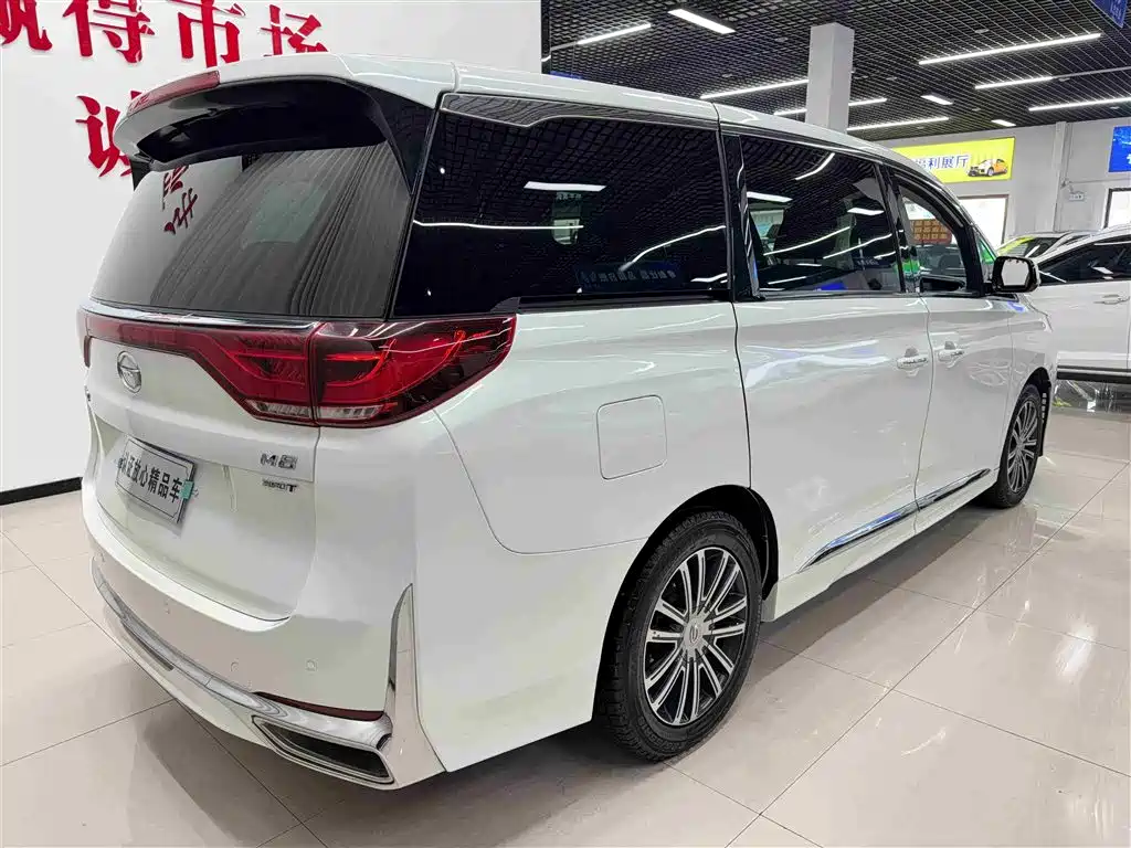 GAC Trumpchi Trumpchi M8 2021 Leading Show Series 390T Prestige Edition фото 6