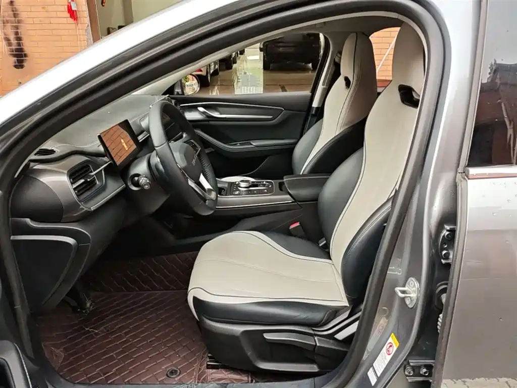 BYD Destroyer 05 2024 Glory Edition DM-i 55KM Luxury фото 15