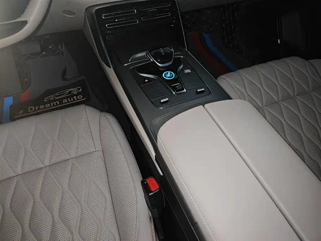 BYD Tang New Energy 2024 DM-i Champion Edition 200KM Premium фото 14