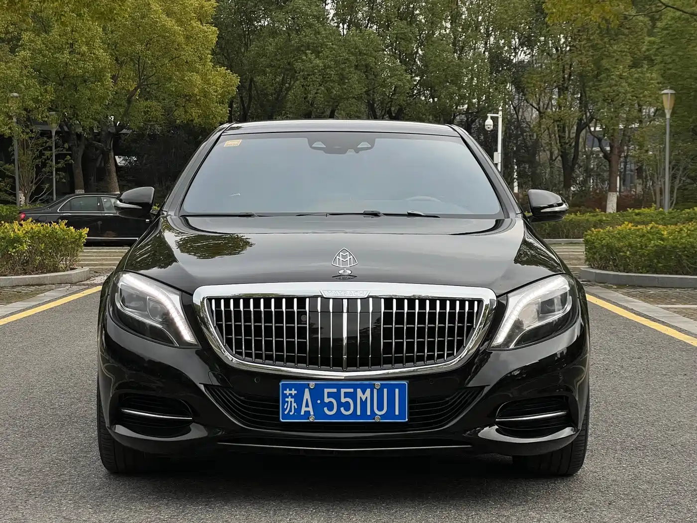Mercedes-Benz S-Class 2014 S 500 L фото 2