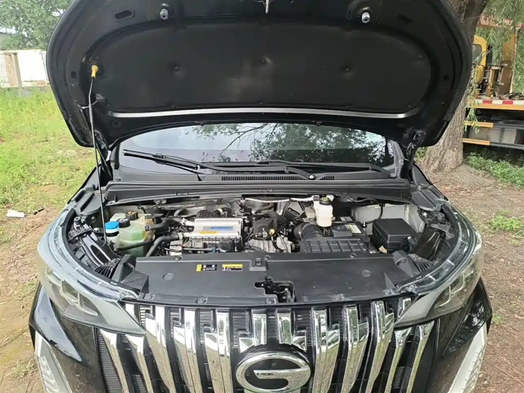 GAC Trumpchi Trumpchi M6 2023 PRO 270T DCT Premium Edition фото 20