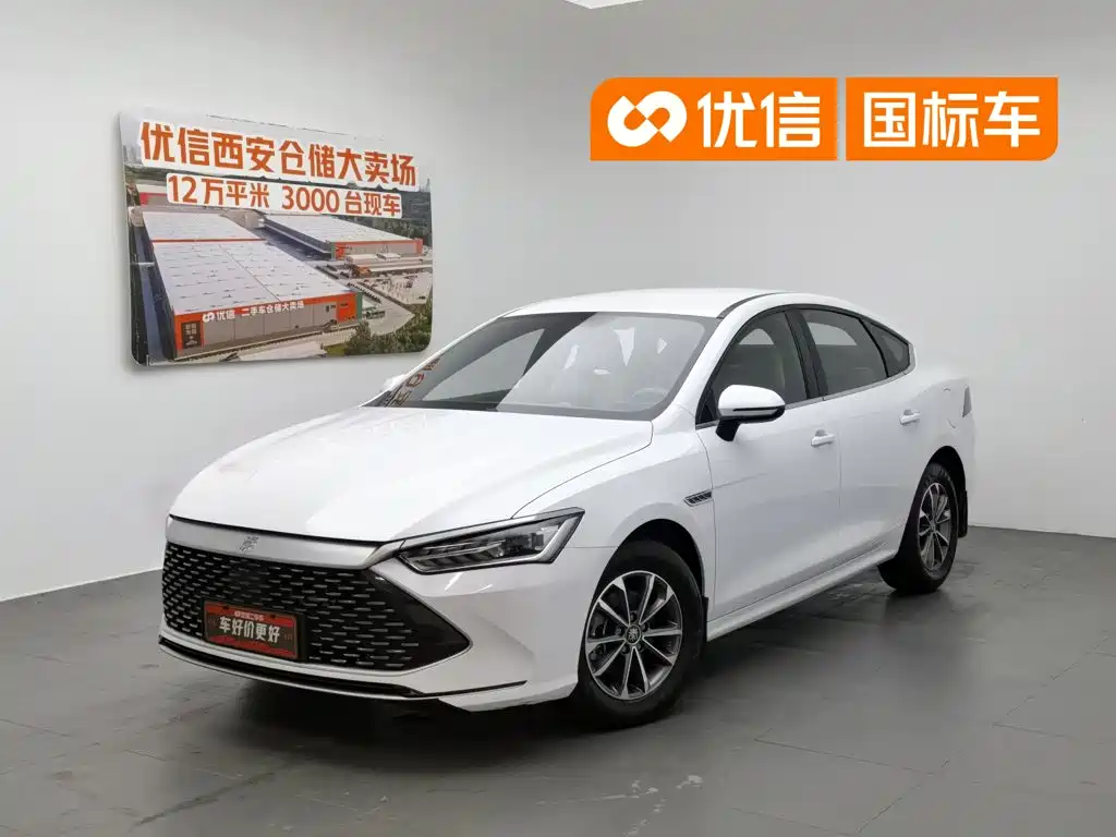 BYD Qin PLUS, 2024 год