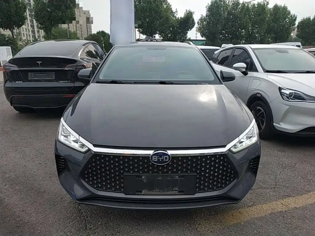 BYD e2 2021 2021 Luxury Edition