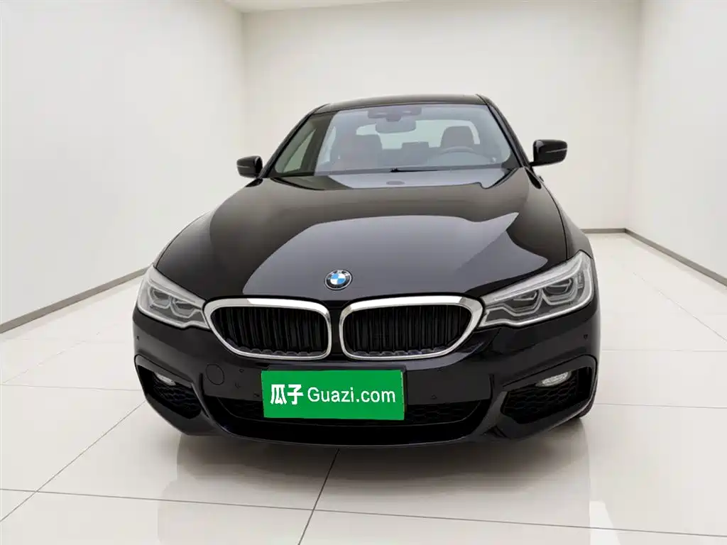 BMW 5 Series 2020 530Li Leading M Sport Package фото 2