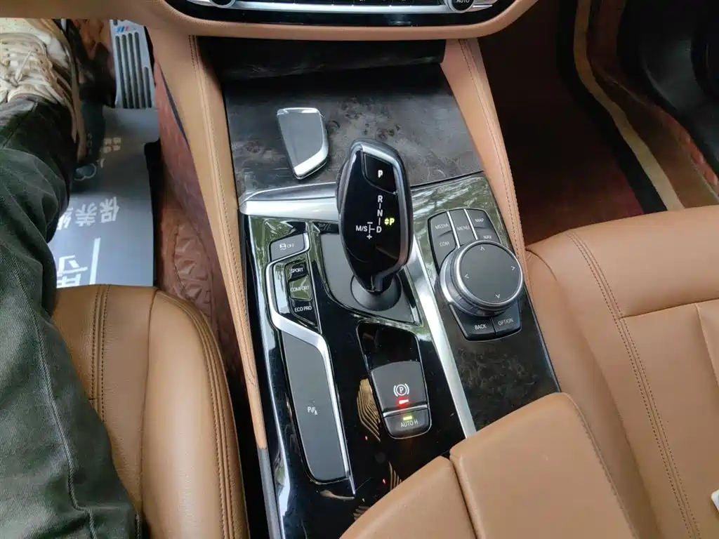 BMW 5 Series 2020 530Li Leading M Sport Package фото 10