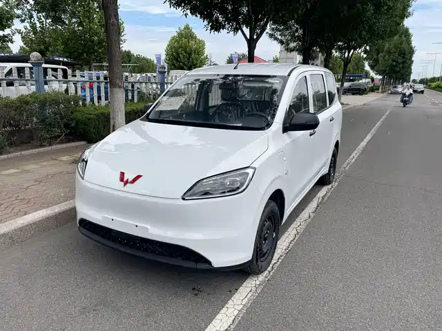  Wuling Motors Wuling Hongguang New Energy 2024 Pure Electric 300KM Standard