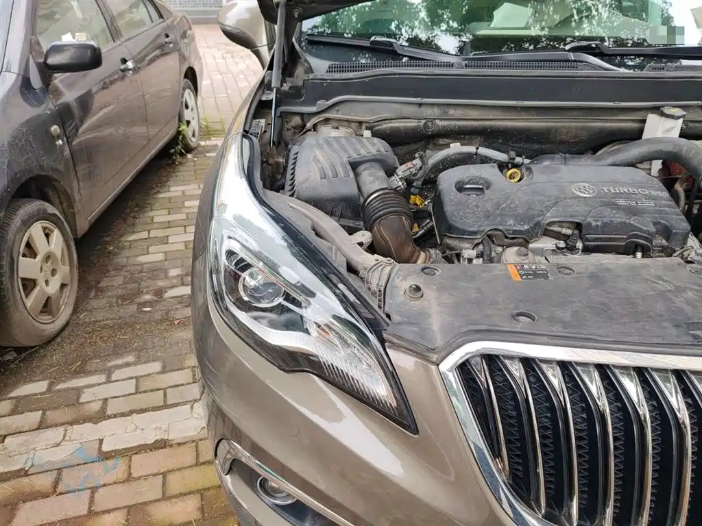Buick Envision Plus 2016 20T 2WD Elite фото 22