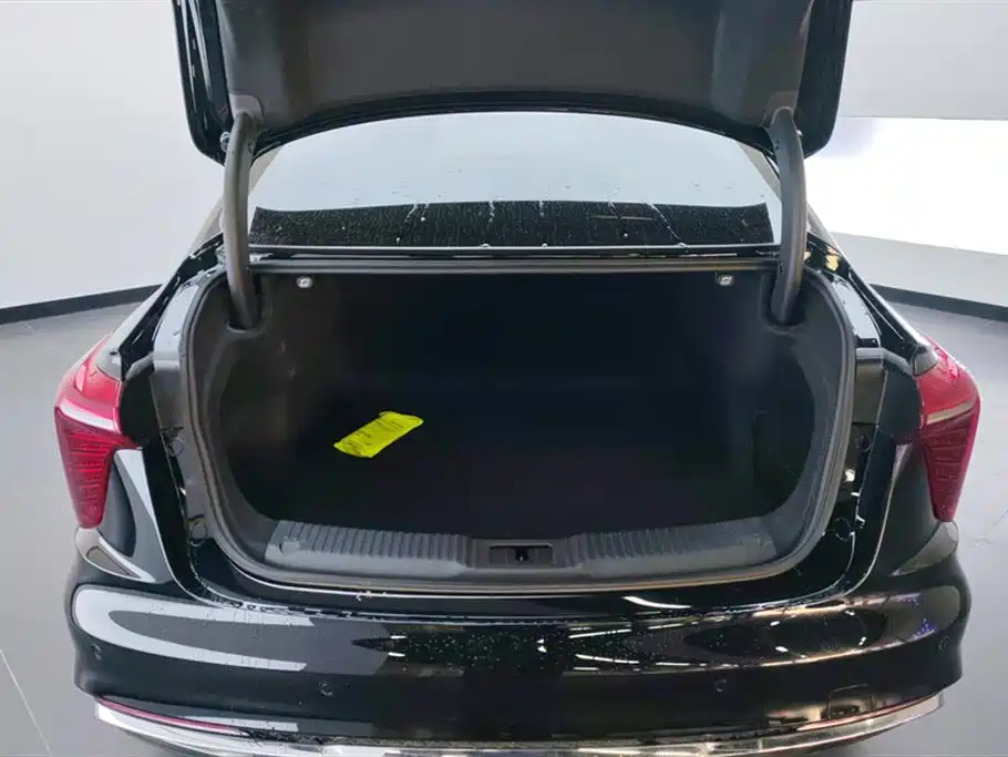 Hongqi H5 2023 2.0T Auto Smart Connect Flag Comfort фото 4