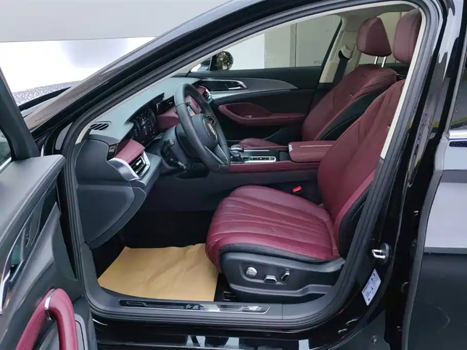 Hongqi H5 2023 2.0T Auto Smart Connect Flag Comfort фото 9