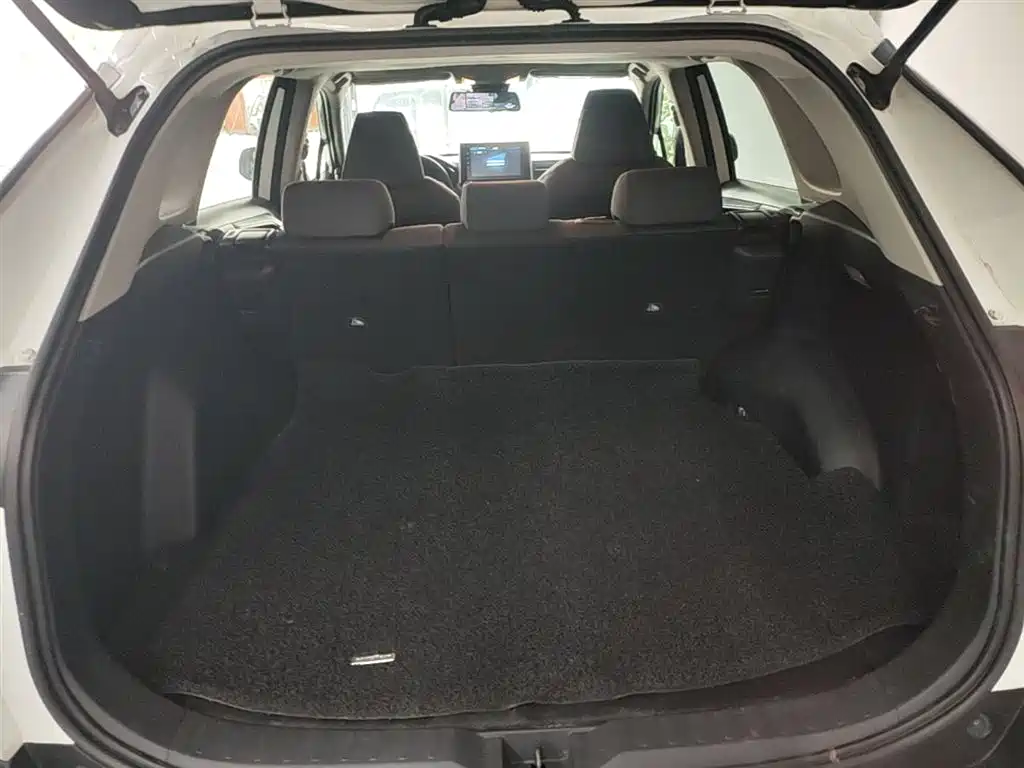 Toyota RAV4 Rongfang 2020 2.0L CVT 2WD Trend Edition фото 19