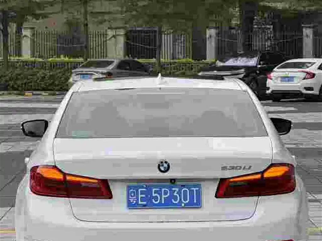 BMW 5 Series 2018 Facelift 530Li Leading Luxury Package фото 8