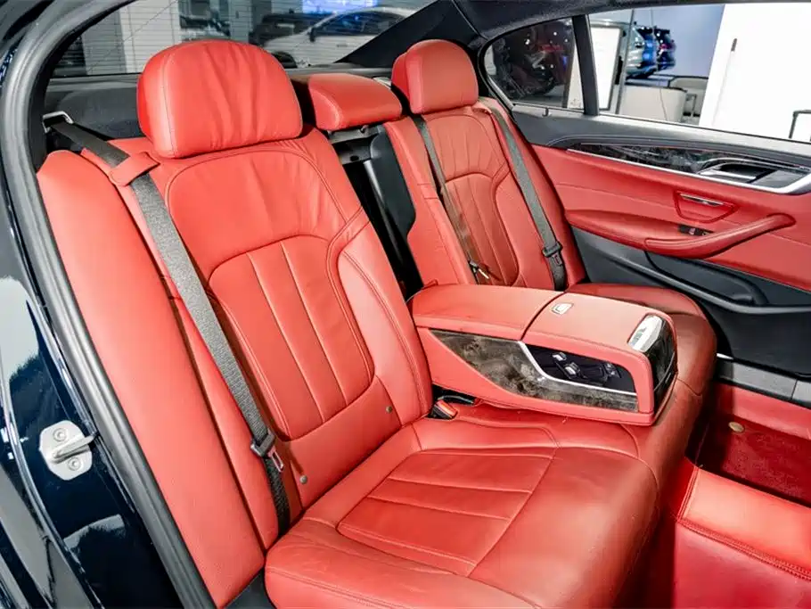 BMW 5 Series 2020 530Li Leading M Sport Package фото 22
