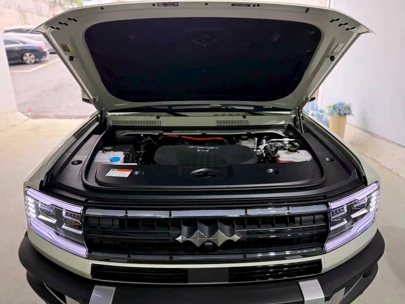 FANG CHENG BAO LEOPARD 5