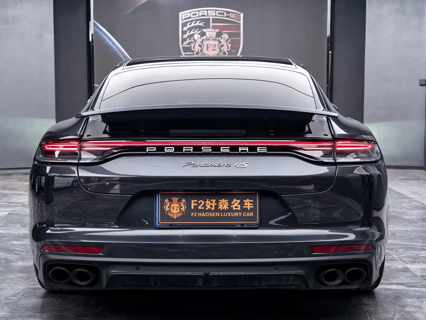 Porsche Panamera 2023 Panamera 2.9T Platinum Edition фото 9