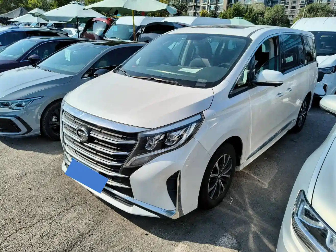 GAC Trumpchi Trumpchi M8 2021 Leading Show Series 390T Luxury Edition