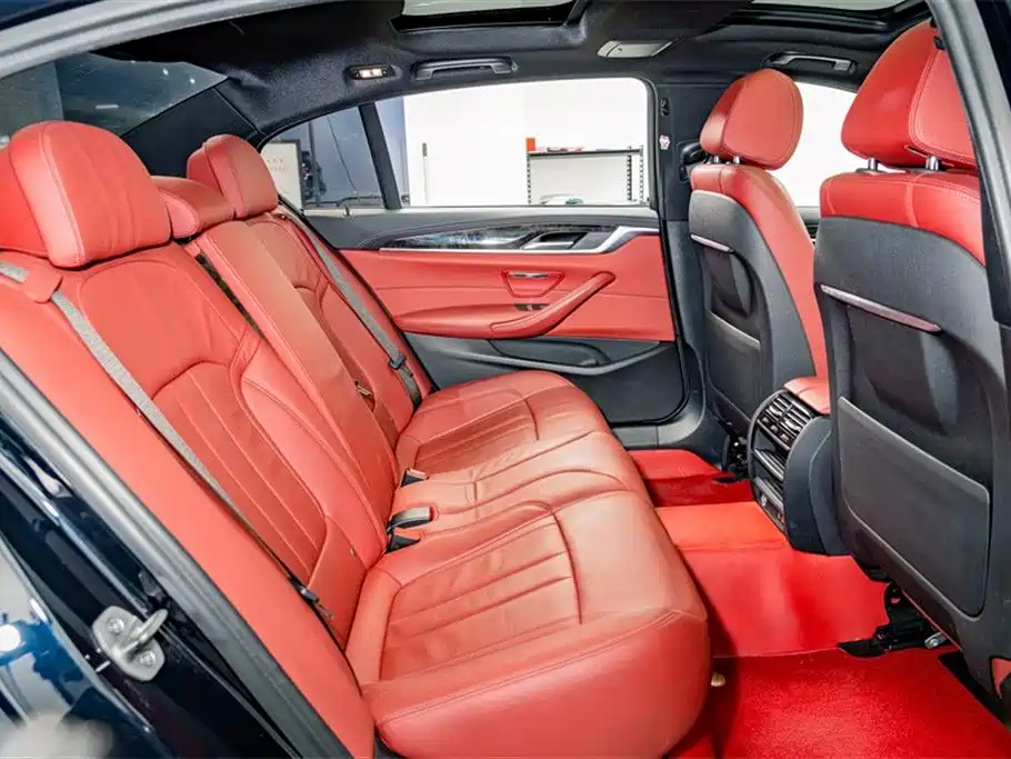 BMW 5 Series 2020 530Li Leading M Sport Package фото 21