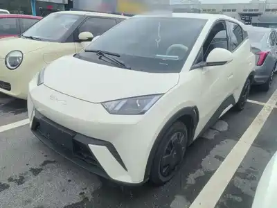 BYD Seagull