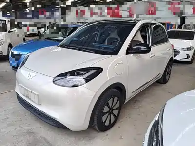 Wuling Bingo