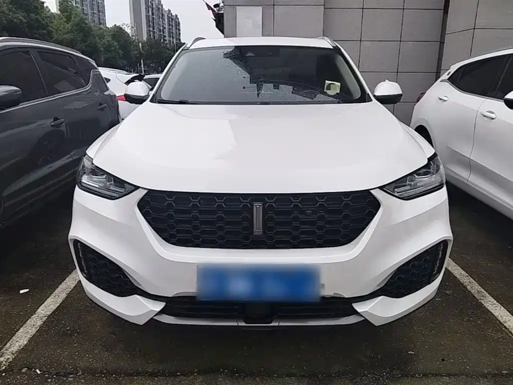 Фото 3 - WEY VV6