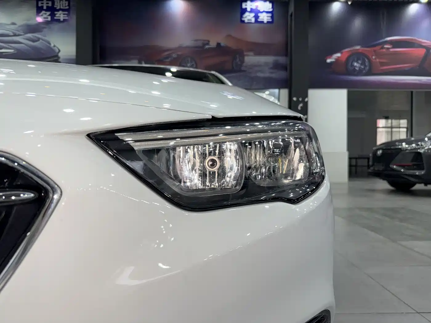Buick Regal 2017 20T Elite Type фото 22
