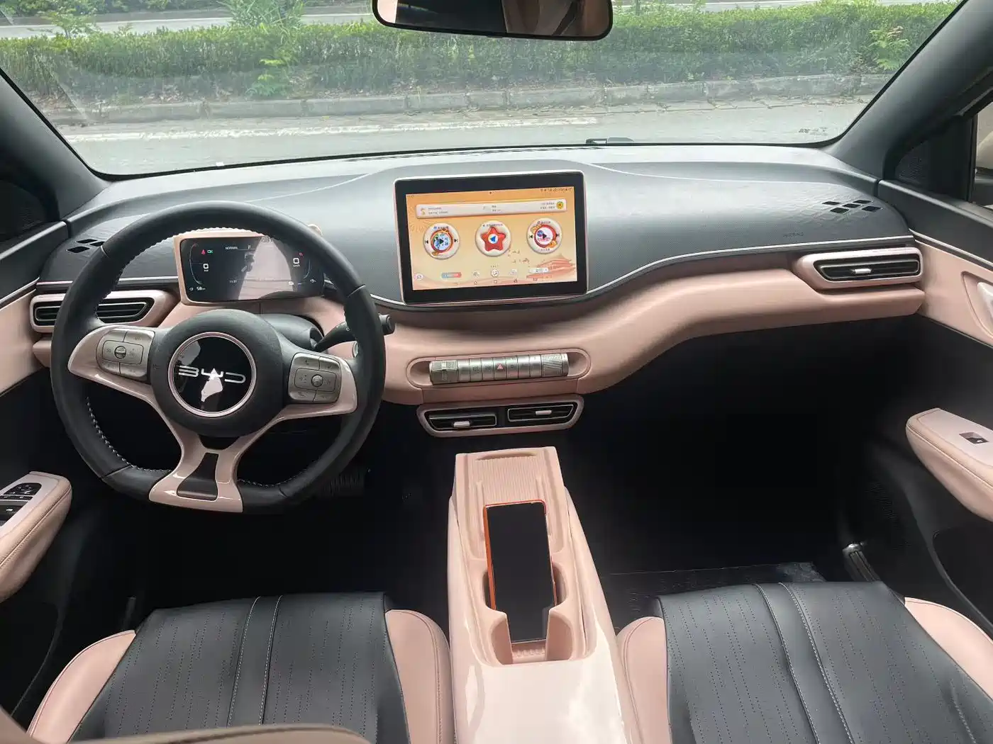 BYD Seagull 2023 Freedom Edition фото 8