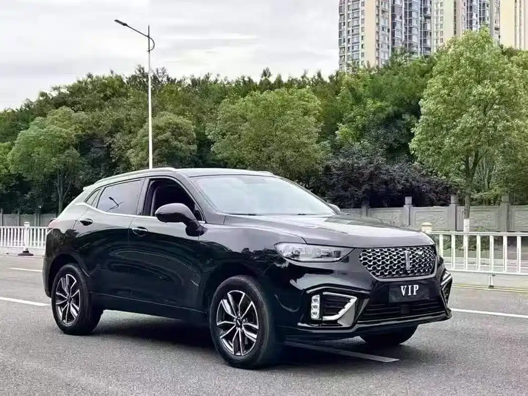 WEI PAI WEI BRAND VV5