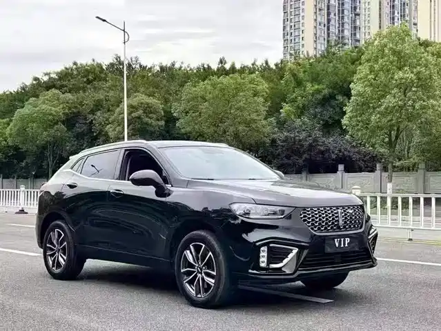 wei-pai wei-brand-vv5