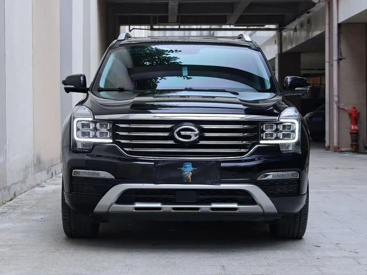 GAC Trumpchi Trumpchi GS8 2017 320T 2WD Luxury Smart Connect (7-seater) фото 2