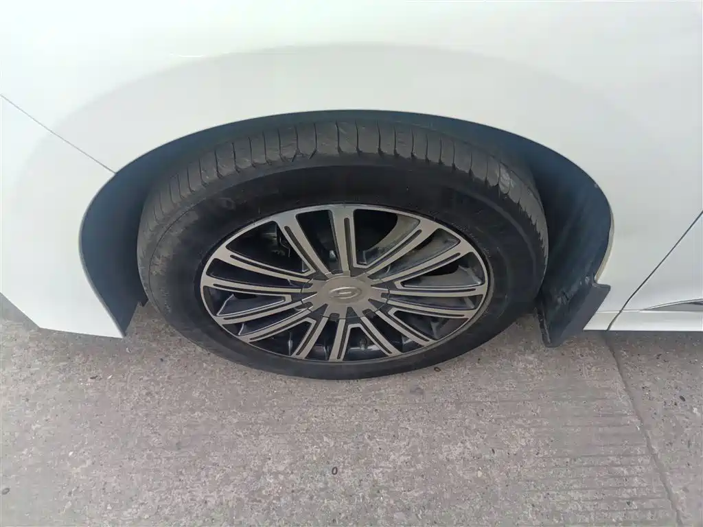 GAC Trumpchi Trumpchi M8 2021 Leading Show Series 390T Ultimate Edition фото 25