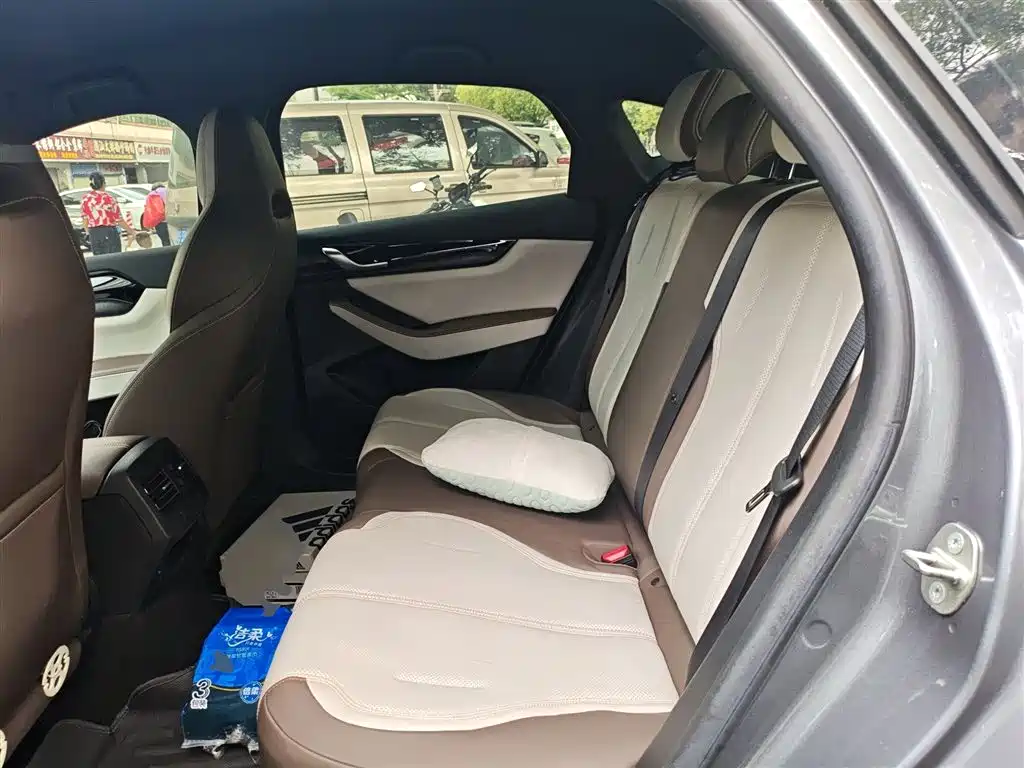 BYD Qin PLUS 2024 Glory Edition DM-i 55KM Leading фото 18