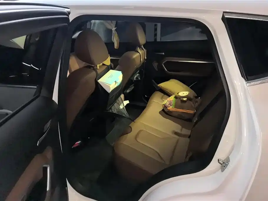 Haval H6 2017 Blue Label 2.0T Auto 2WD Leader фото 11