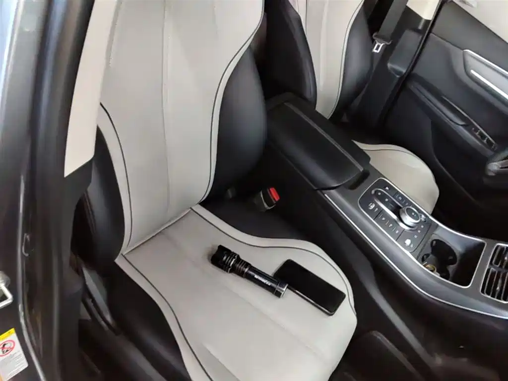 BYD Destroyer 05 2024 DM-i 55KM Pilot Glory Edition фото 25