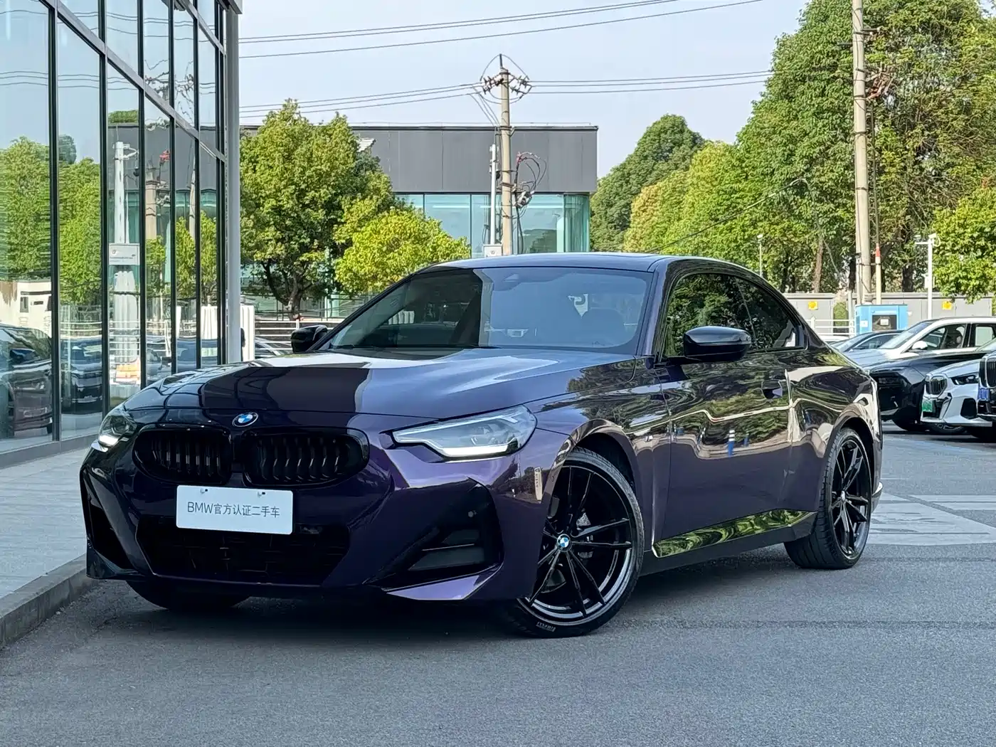BMW 2 Series (Import) 2023 225i M Sport Black Night Package фото 8