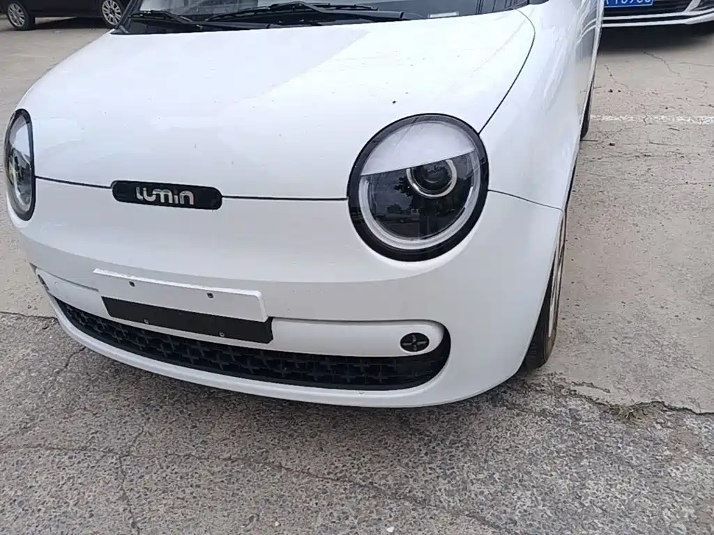 Changan Lumin 2026 2026 Model 205km Treasure Edition