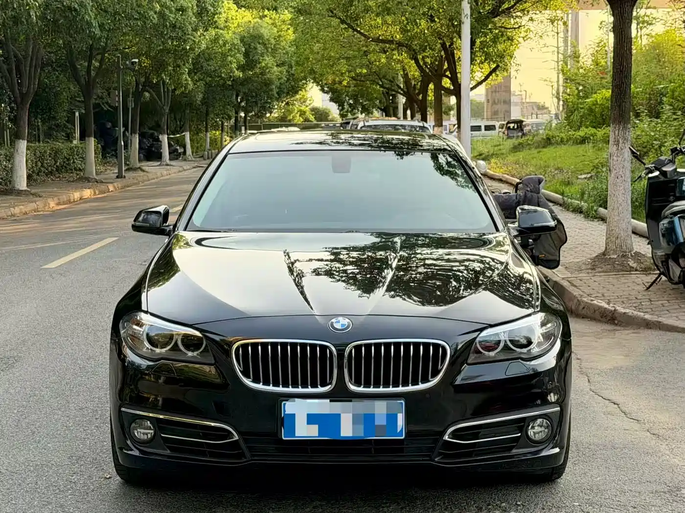 BMW 5 Series 2014 525Li Luxury Design Package фото 2