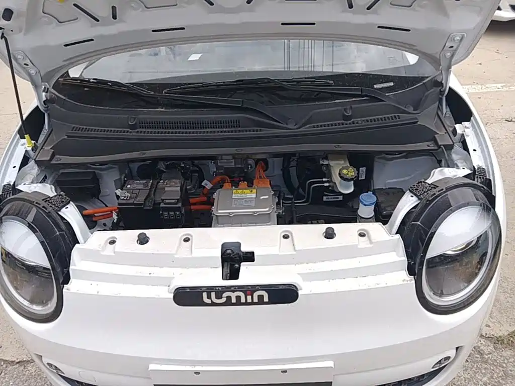 Фото 20 - Changan Lumin