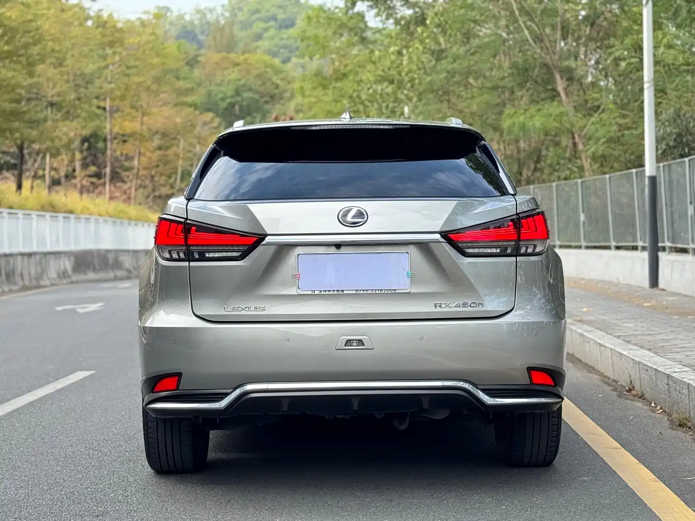 LEXUS RX
