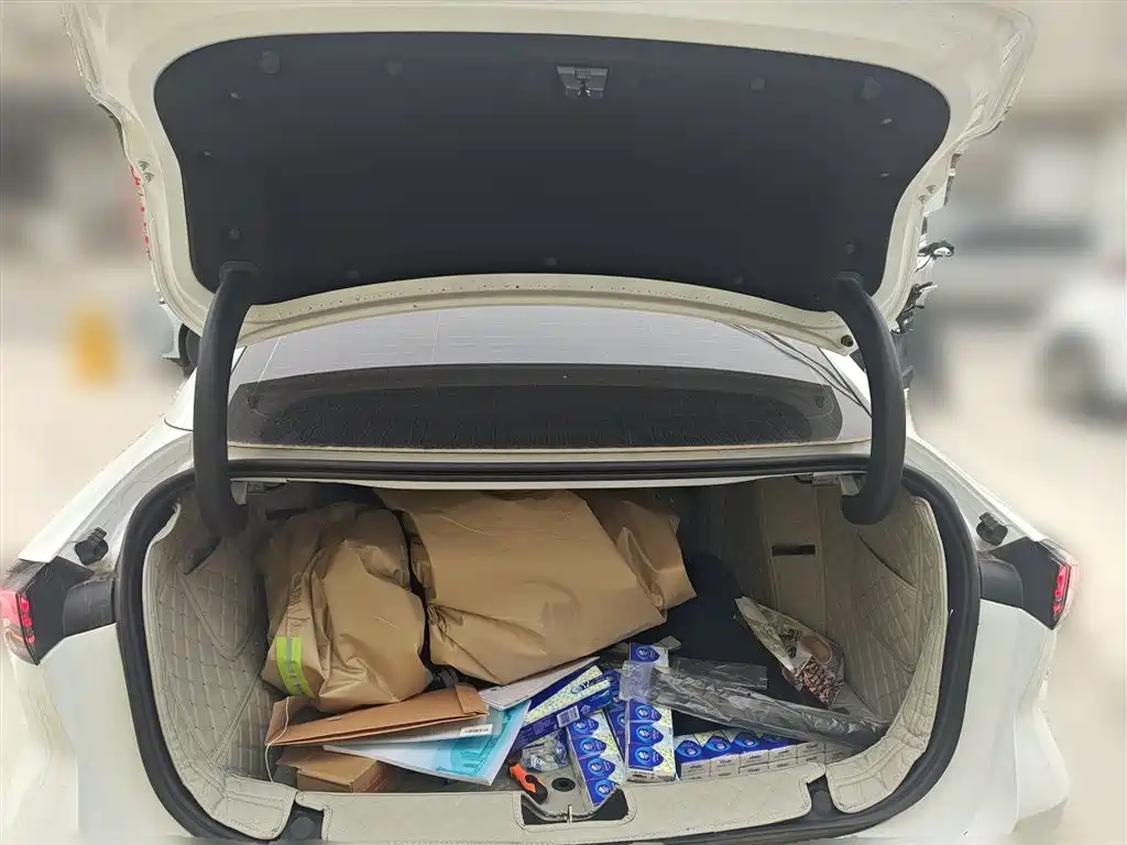 Geely Galaxy Galaxy L6 2025 EM-i 140km Starship Edition фото 15