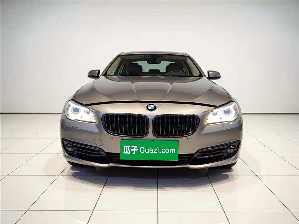 BMW 5 Series 2017 525Li Luxury Design Package фото 2