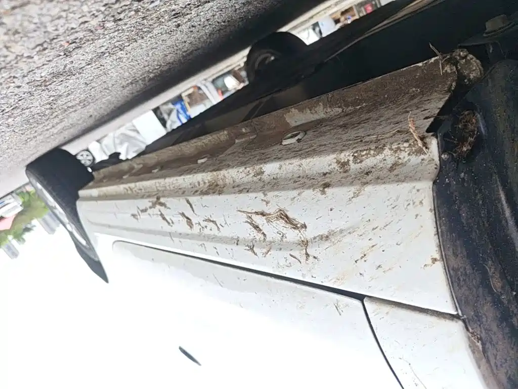 Roewe Kaiwei CLEVER 2024 2022 311km Vitality Bobo Edition