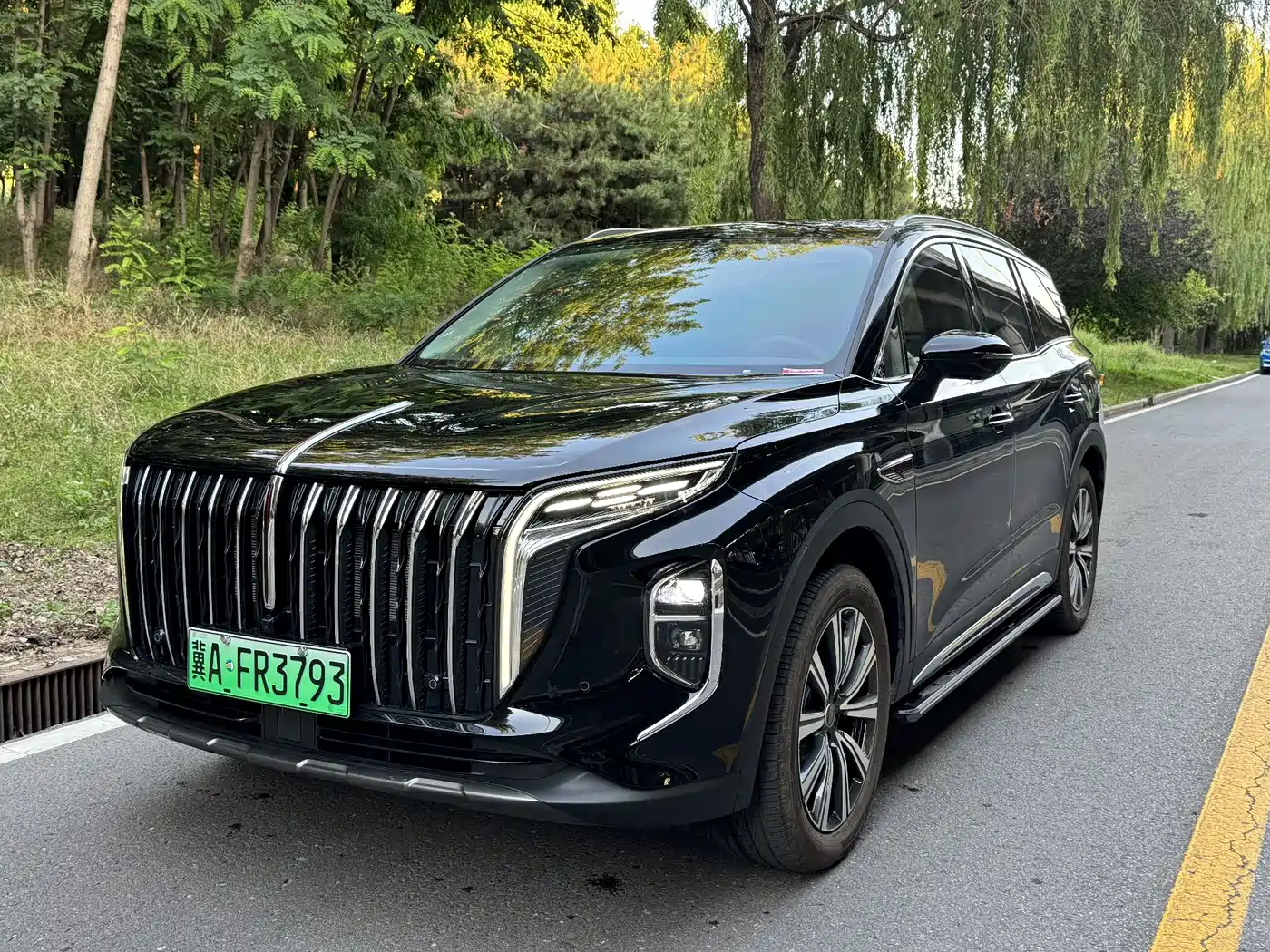 Hongqi HS7 PHEV 2025 Revised Model 2.0T PHEV 4WD 2 Million Units Commemorative Edition 7-Seater фото 3